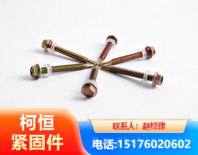 宣城六角钻尾丝